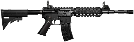 M4 vendor render from a versioned WARDOGS item record